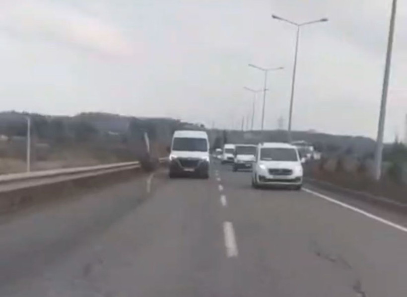 Diyarbakır’da çiftlikten kaçan deve kuşu kara yoluna girdi - Resim: 1