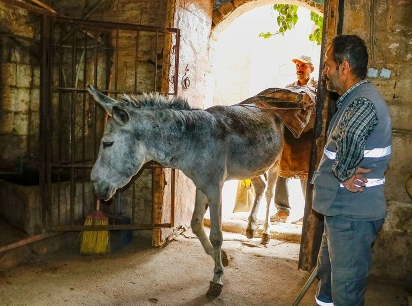 Mardin’de çöp taşıyan kadrolu eşeklerin yerine kullanılacak paletli aracın saha testi tamamlandı - Resim: 1