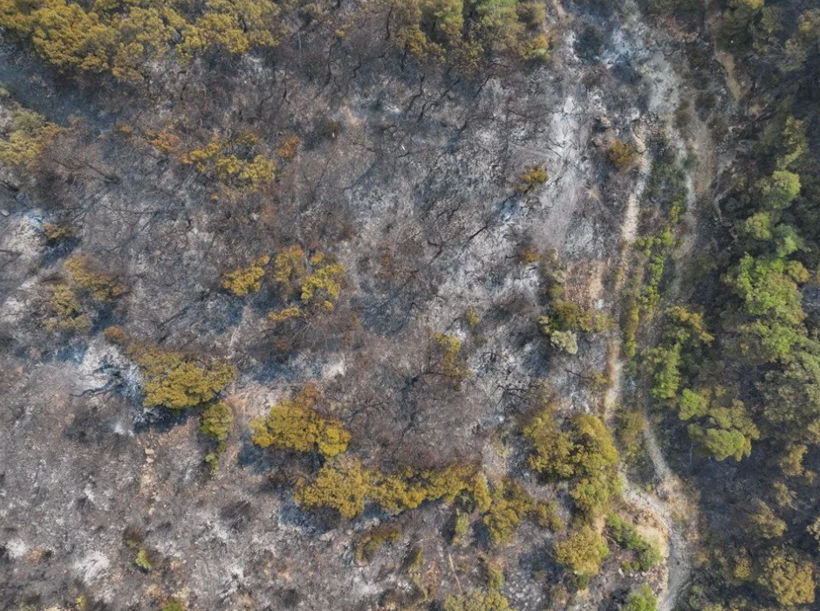 Orman yangınlarıyla mücadele: Karabük yangını kontrol altında - Resim: 2