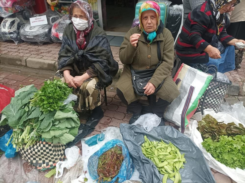 Halk arasında diken ucu olarak bilinen 'Melocan' tezgahlarda yerini aldı - Resim: 1