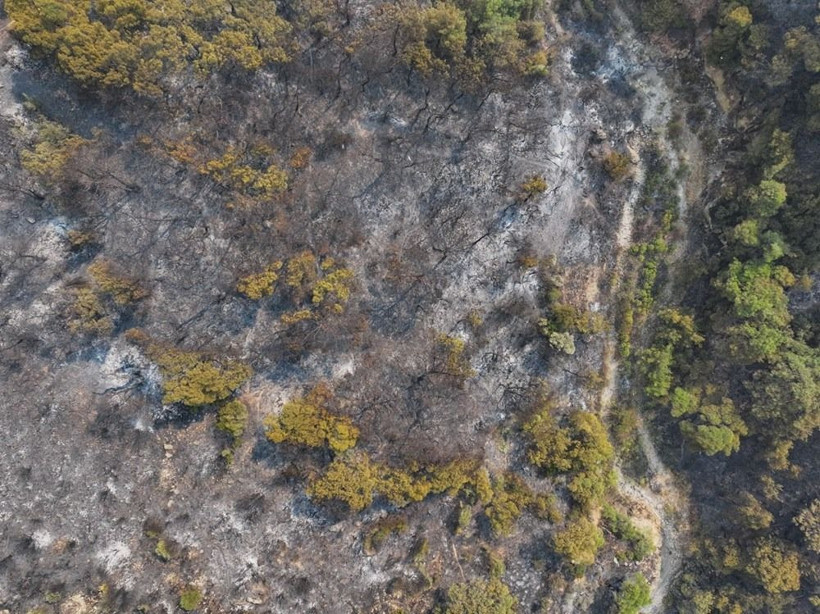 Tüm ülkede orman yangınlarıyla mücadele sürüyor: Karabük yangını kontrol altında - Resim: 4