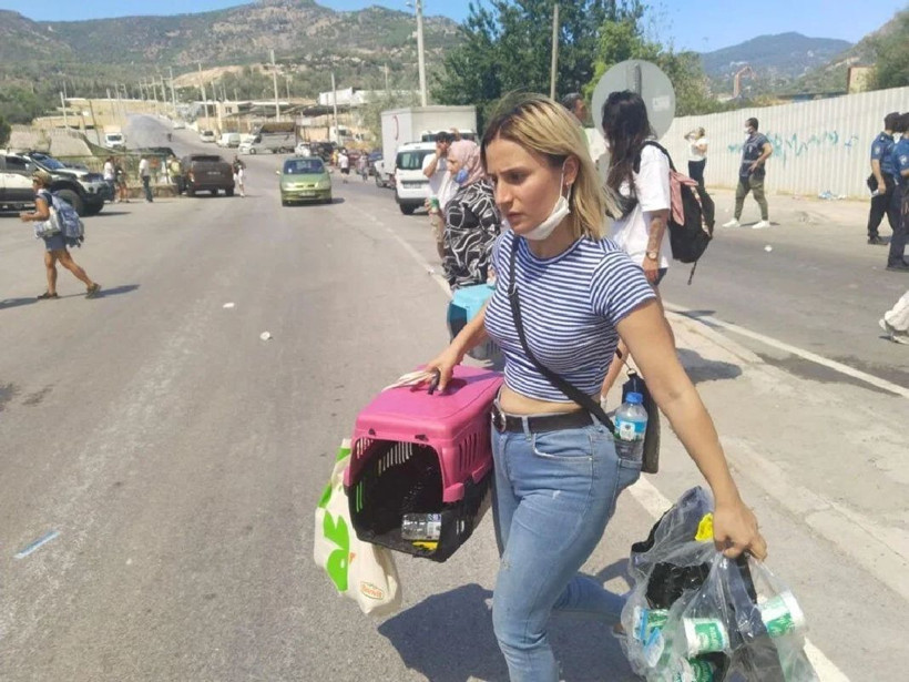 Türkiye'nin birçok noktasında alevlerle mücadele sürüyor - Fotoğraf: 15