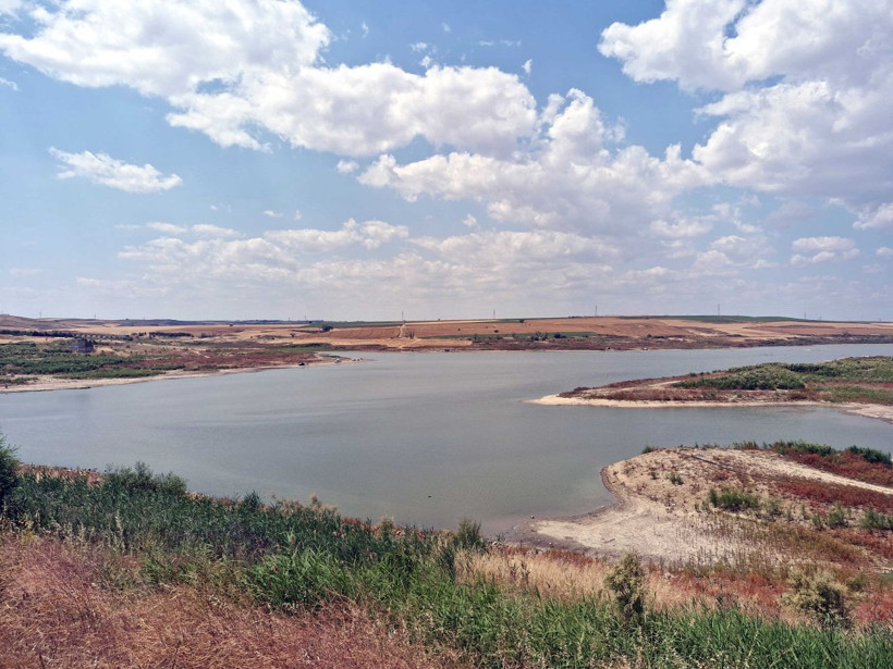 Tekirdağ’daki Türkmeneli Göleti’nde su seviyesi yüzde 5’in altına düştü - Fotoğraf: 3