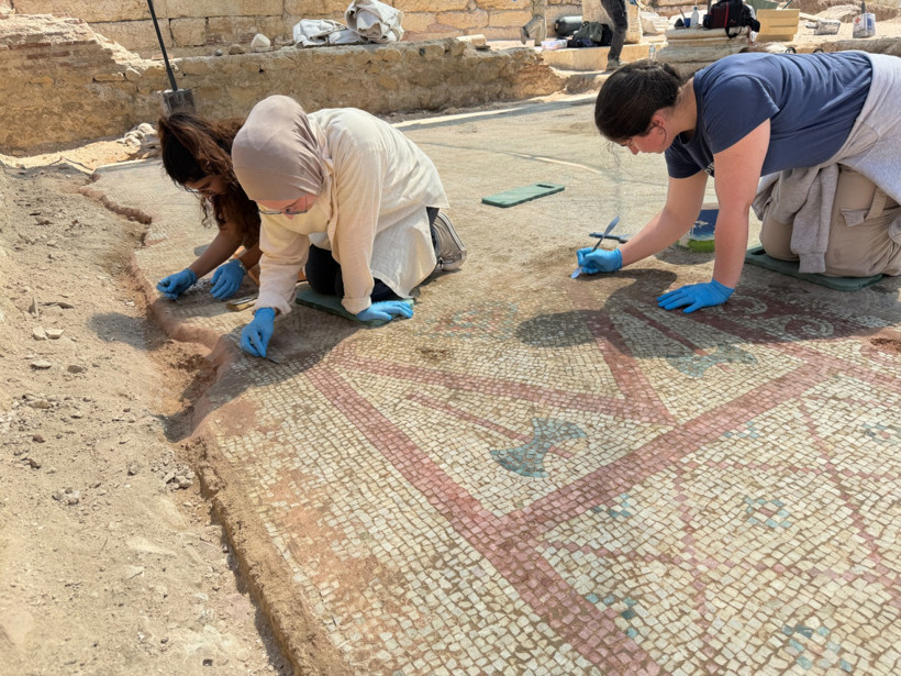 Pompeiopolis’te binlerce yıllık miras gün ışığına kavuştu! 105 metrekarelik mozaik ortaya çıkarıldı - Fotoğraf: 7