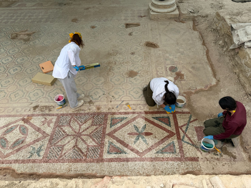 Pompeiopolis’te binlerce yıllık miras gün ışığına kavuştu! 105 metrekarelik mozaik ortaya çıkarıldı - Fotoğraf: 11