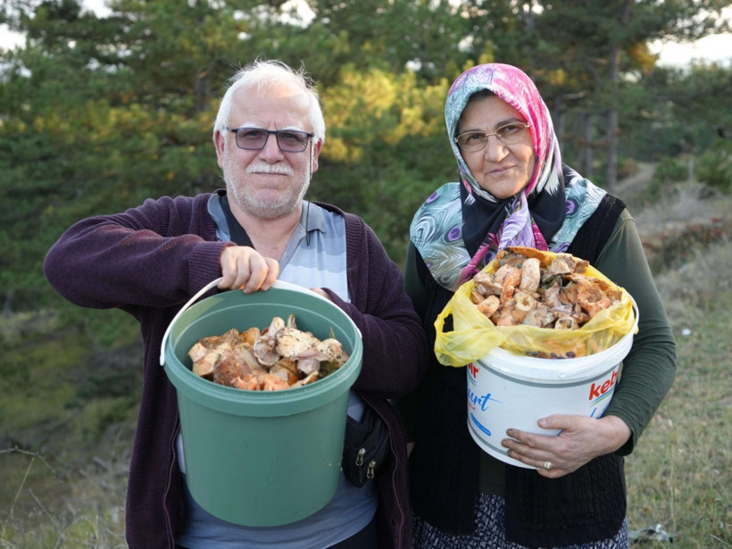 Kovalarını alan ormana koştu: Kilosu 50 liraya kadar geriledi - Fotoğraf: 5