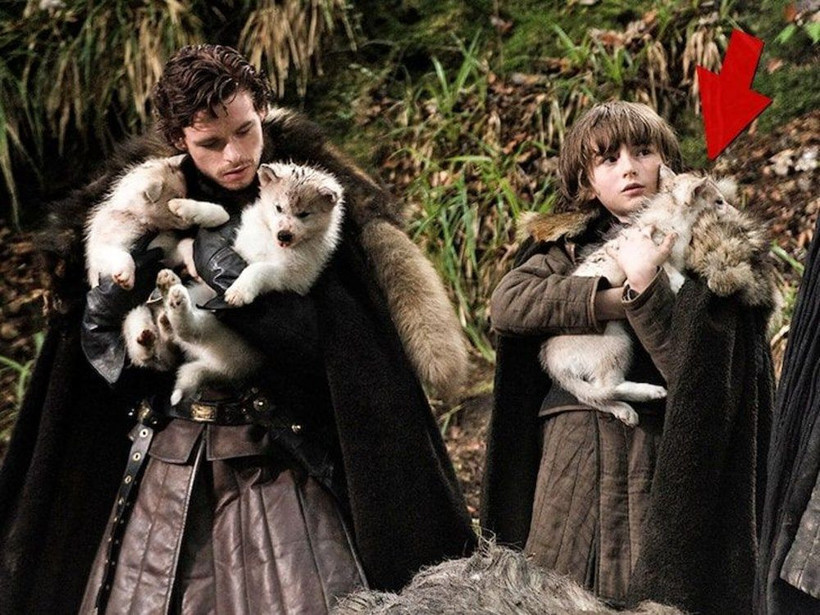 Game of Thrones'ta Bran'in köpeği Summer kansere yenik düştü - Resim: 1