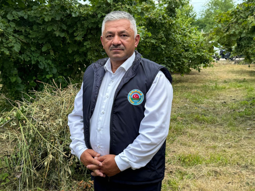 Ordu'da tahmini fındık rekoltesi tespit çalışmaları başladı - Resim: 1