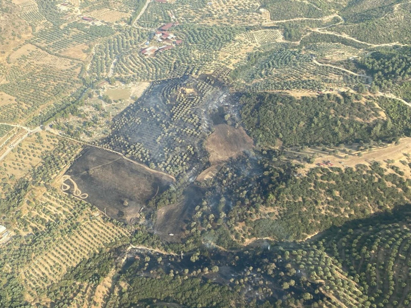 Aydın'da tarım arazisindeki yangın 1 saatte söndürüldü - Resim: 1