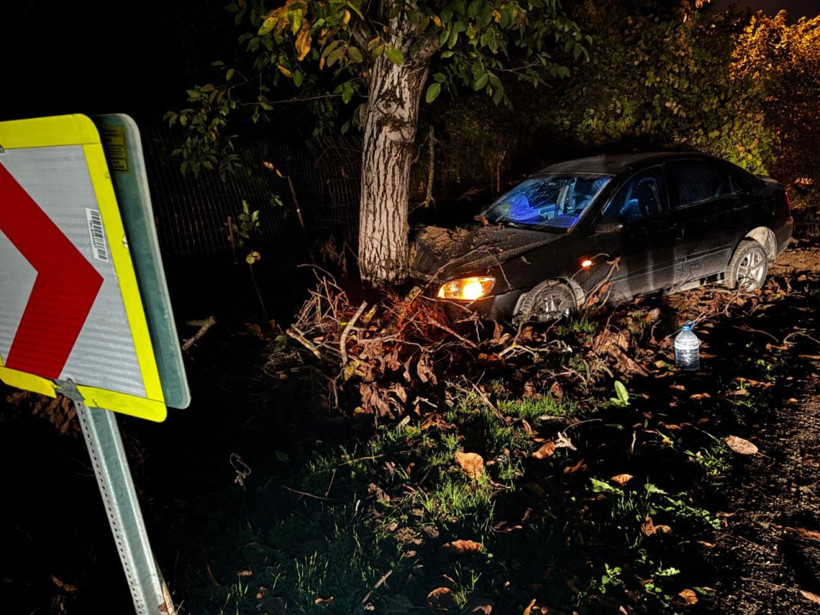 Bursa'da otomobil ağaca çarptı: 3 yaralı - Resim: 3