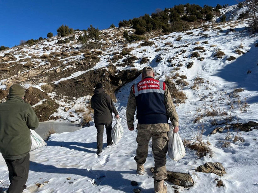 Siirt’te yaban hayvanlarına 750 kilo yem bırakıldı - Resim: 4