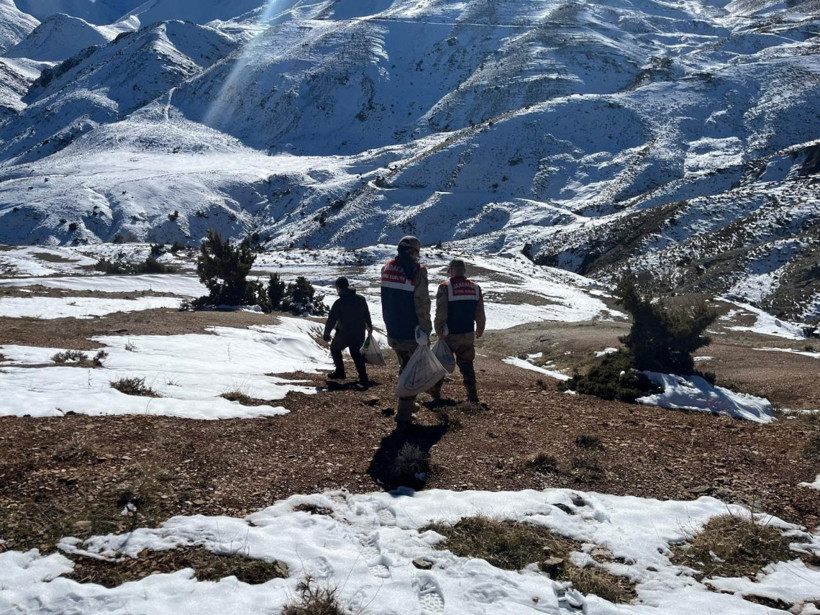 Siirt’te yaban hayvanlarına 750 kilo yem bırakıldı - Resim: 2