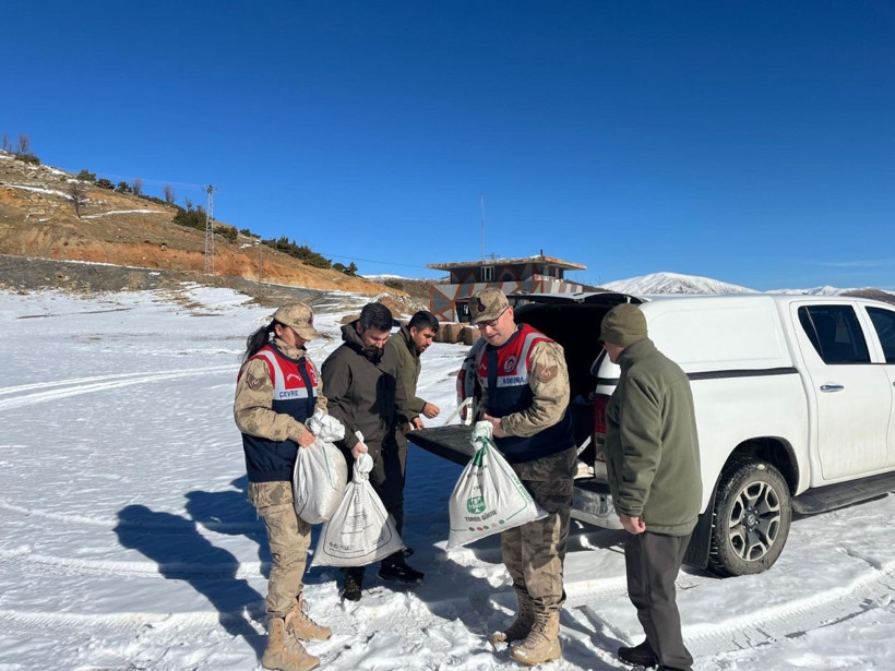 Siirt’te yaban hayvanlarına 750 kilo yem bırakıldı - Resim: 1