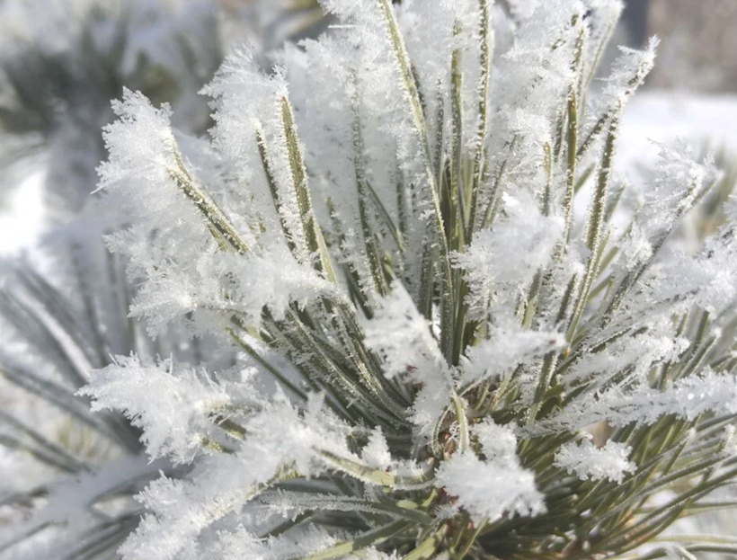 O ilimizde hava buz kesti! Mart ayında eksi 8,6 dereceyi gördü - Resim: 2