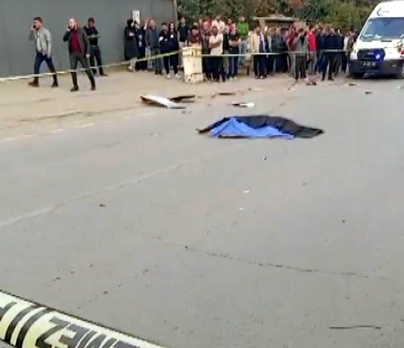 Otomobilin çarptığı Güney, hayatını kaybetti - Resim: 3