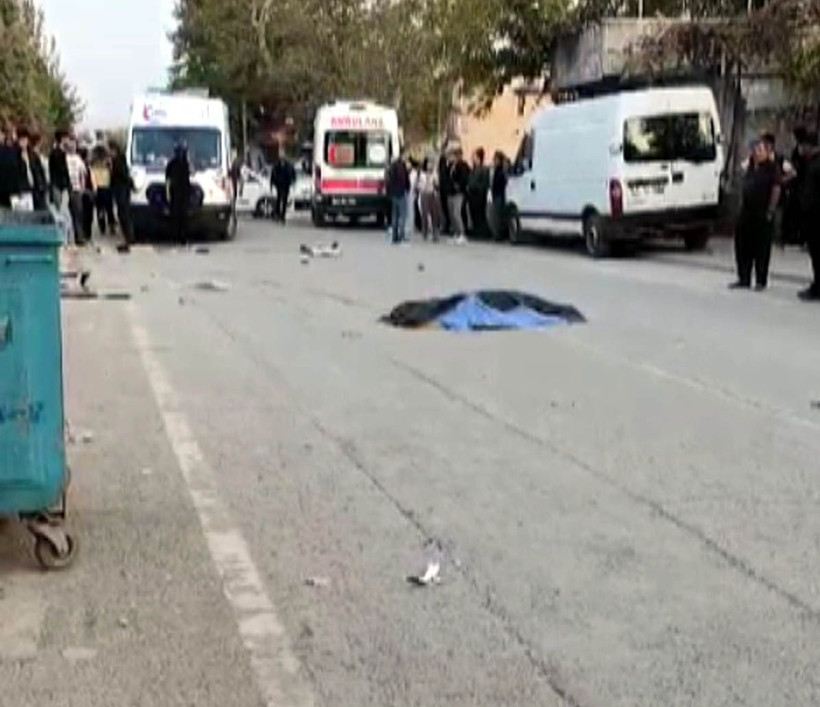 Otomobilin çarptığı Güney, hayatını kaybetti - Resim: 2