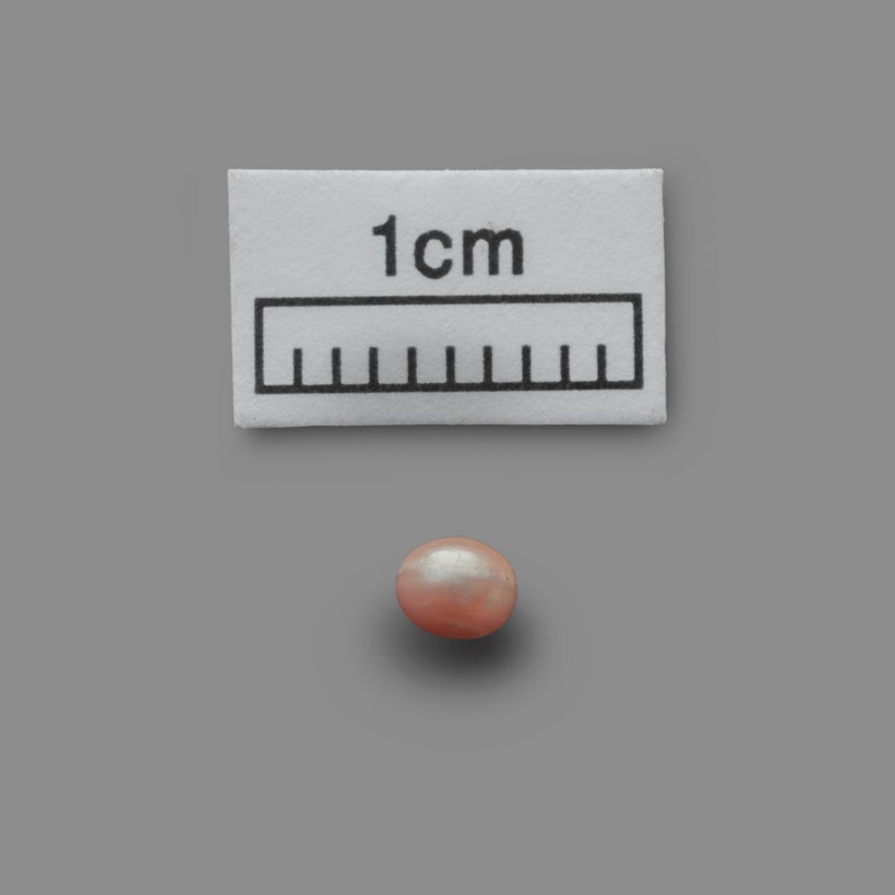 'Dünyanın en eski doğal incisi' Abu Dabi'de bulundu - Resim: 2