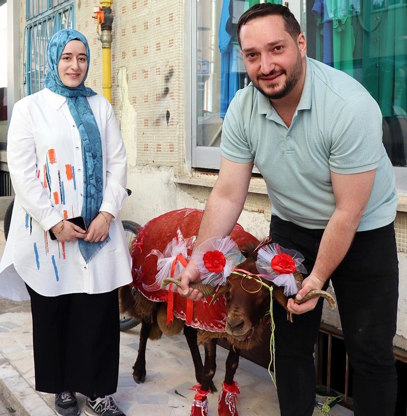 Erzurumlu damattan nişanlısına kurbanlık koç hediyesi - Resim: 1