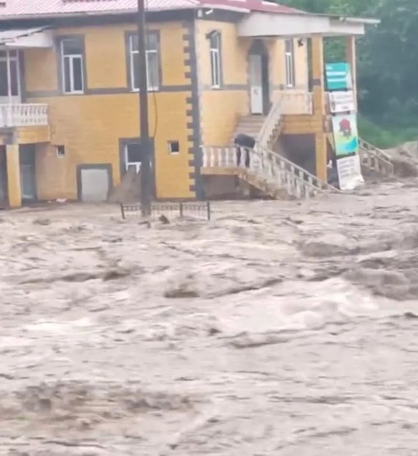 Ordu ve Muş'ta sel felaketi: 2 kişi hayatını kaybetti - Resim: 3