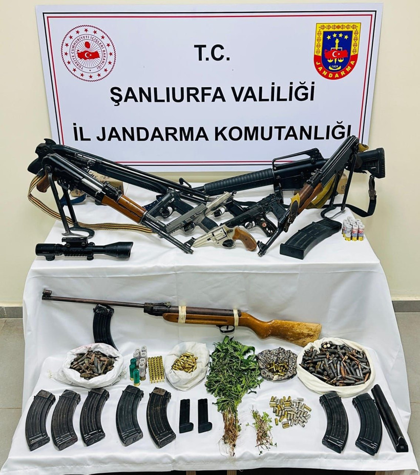 Şanlıurfa’da su bidonunda tabanca, saksılarda kenevir ele geçirildi; 7 gözaltı - Fotoğraf: 5