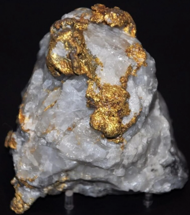 Bülent Ersoy'a ham altın hediyesi: Dev kasamda yerini alacak! - Resim : 1