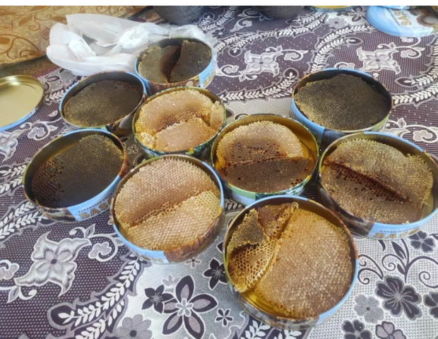 Kilosu bin 500 liradan satılıyor! Birçok hastalığa şifa - Resim : 1