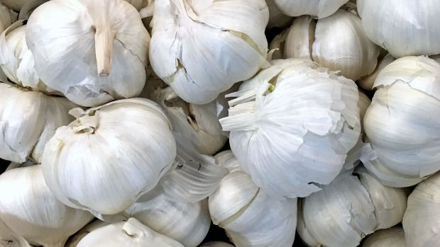 Sarımsakları böyle saklamalısınız; Aylarca filizlenmiyor ve yeşillenmiyor. - Resim : 1