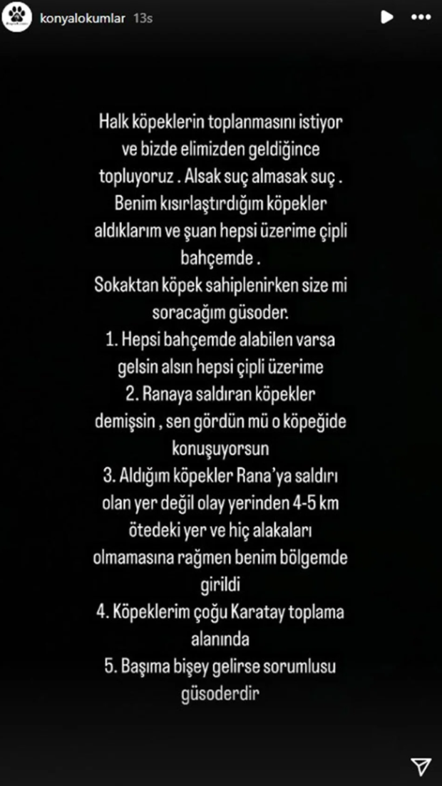 Rana'yı hayattan koparan k&ouml;pekler ka&ccedil;ırıldı mı? Otopsi raporu &ccedil;ıktı! - Resim : 1