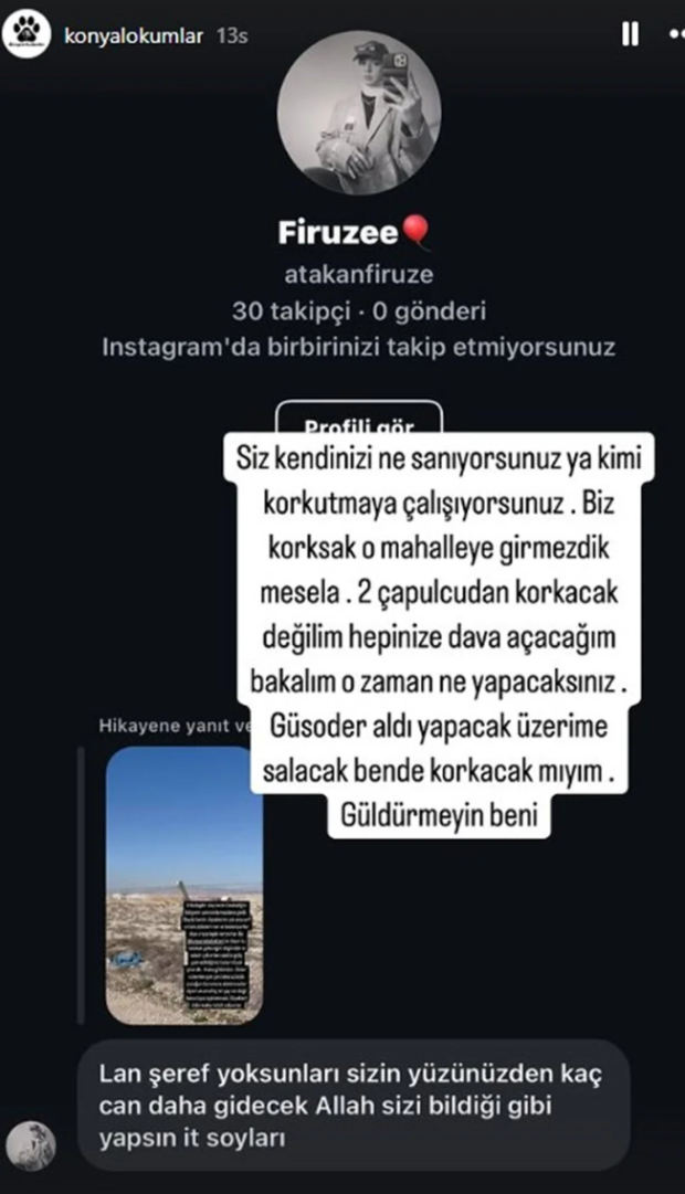 Rana'yı hayattan koparan k&ouml;pekler ka&ccedil;ırıldı mı? Otopsi raporu &ccedil;ıktı! - Resim : 2