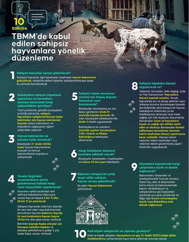 81 ile müfettiş gönderildi: Sokak köpekleri tartışması! 14 gün sürecek - Resim : 2