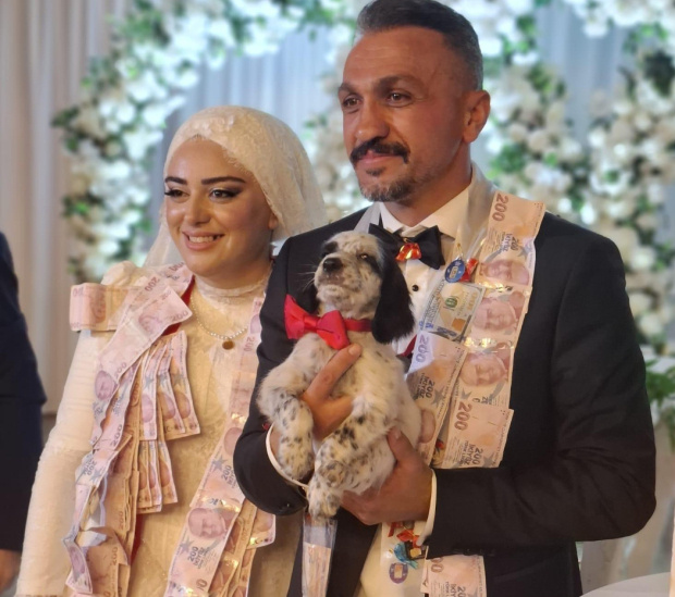 D&uuml;ğ&uuml;nde damada altın yerine av k&ouml;peği yavrusu taktı - Resim : 1