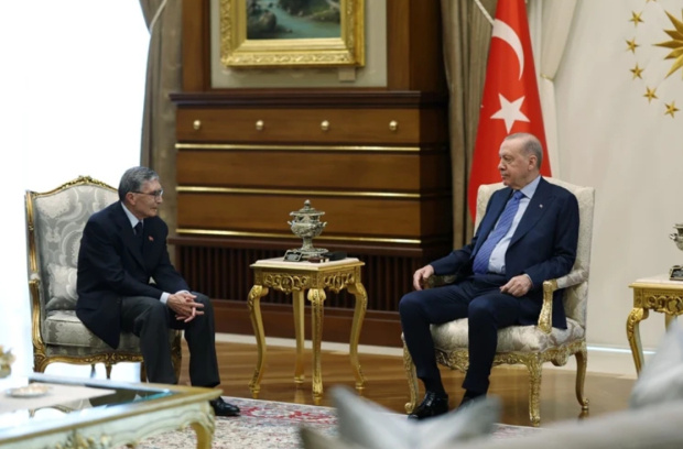 Cumhurbaşkanı Erdoğan, Prof. Dr. Aziz Sancar'ı kabul etti - Resim : 1