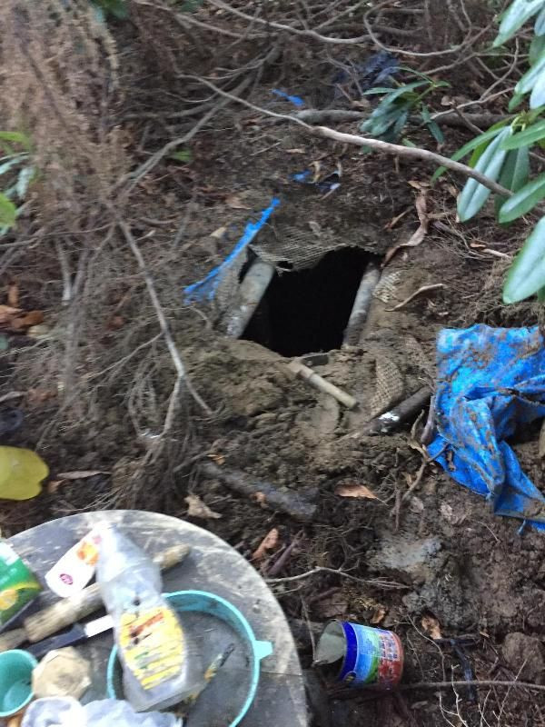 Karadeniz'de büyük operasyon başladı! - Resim: 2